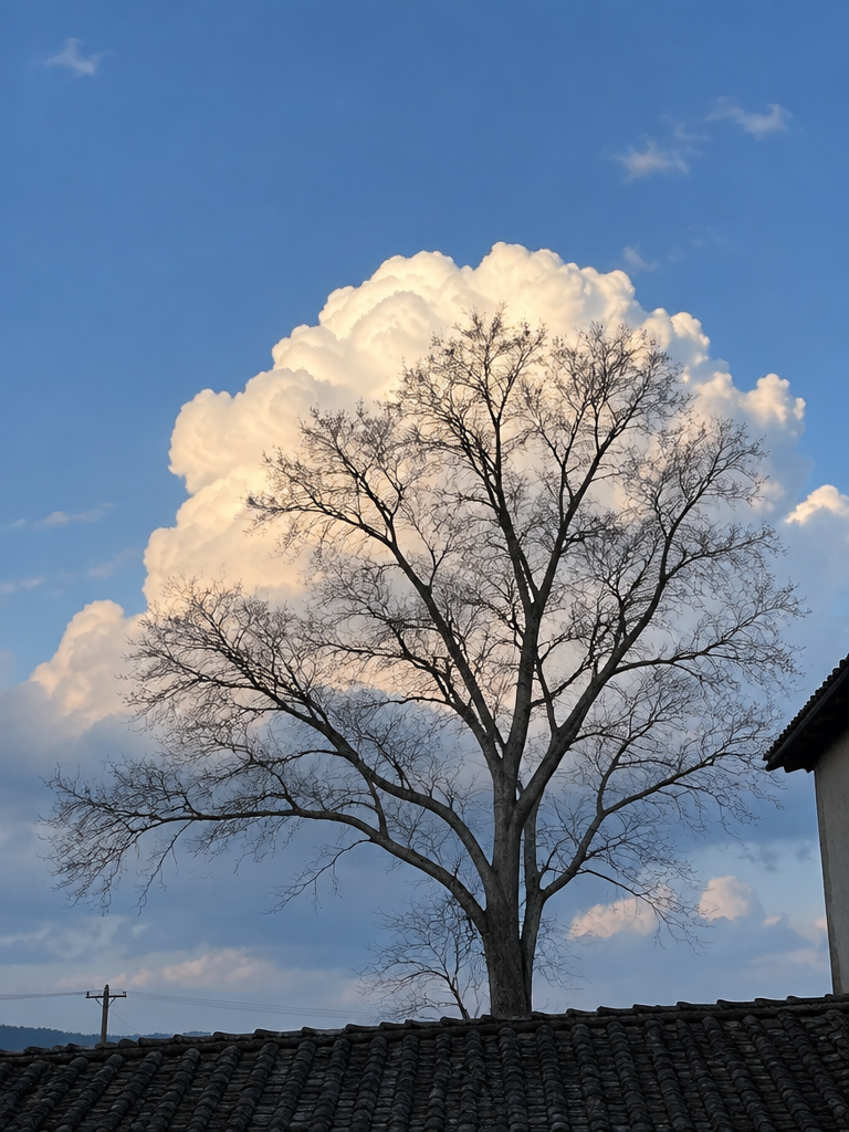 Arbre aux nuages : illusion photo prise au téléphone en campagne