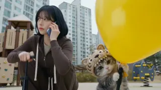 Tiger-Hat Kitten and Yellow Balloon: A 30-Second Prompt Adaptation preview